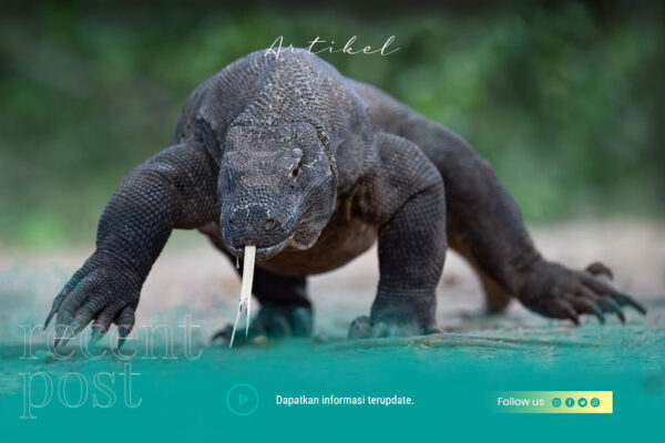 Sharing-Trip-to-komodo
