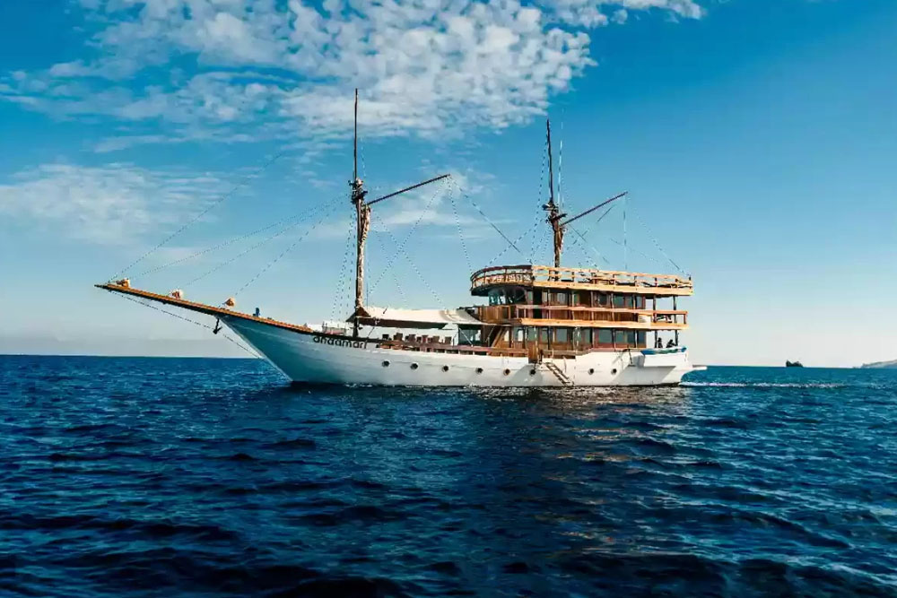 Trekking Only to See Komodo Dragon