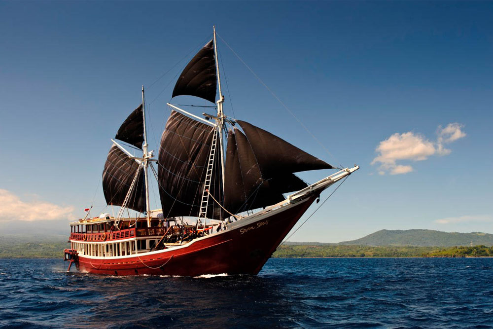 Trekking to See Komodo Dragon & Snorkeling in Pink Beach