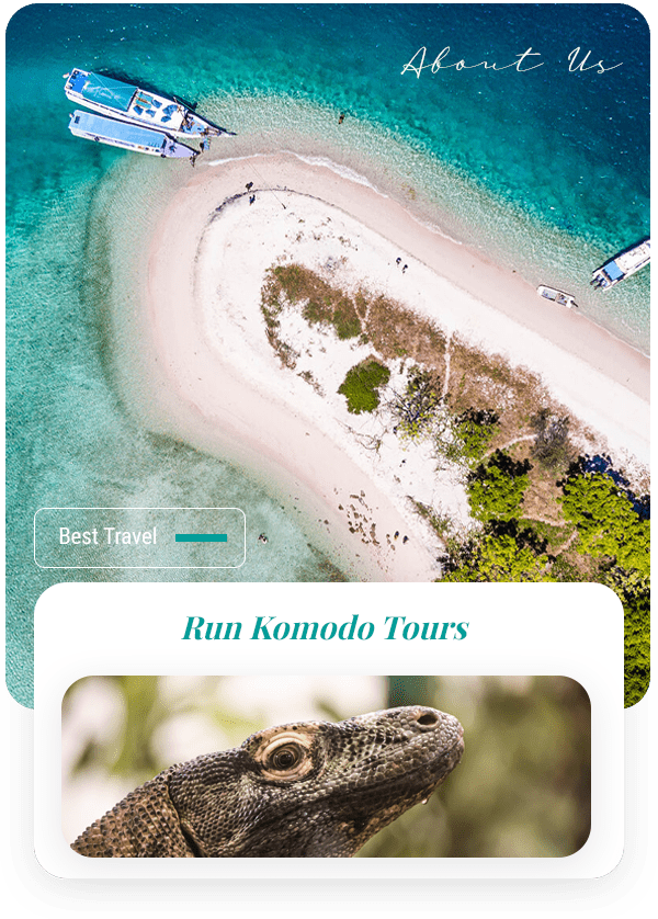 profil-run-komodo-tours